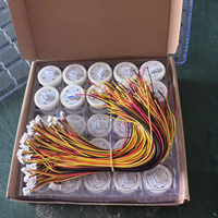 Composant d'ascenseur haut de gamme : Câble de connexion pour bouton d'ascenseur avec 2 connecteurs