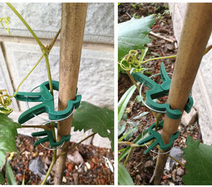 Tomate Fleur Jardin Vert En Plastique Jardin Ressort Clips Vert En Plastique Plante <span class=keywords><strong>Pince</strong></span> - Product Image 6