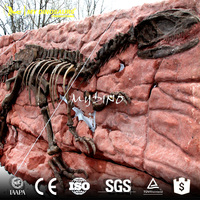 MY Dino SF12 Fossile de dinosaure ancien, fouille de fossiles de dinosaures, mur de fossiles de dinosaures
