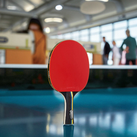 Raquette de tennis de table professionnelle en bois avec personnalisation approuvée