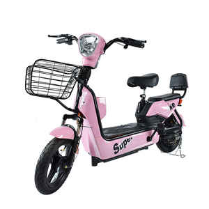 Paige 48V 12Ah 350W Leistungsstärkstes E-Bike Umbausatz-Kit für Herren E-Bikes mit 2 Rädern – Ebox 2.0 - Product Image 4