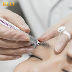Acrylic Digital Double Head <strong>Micro</strong> Blading <strong>Machine</strong> for Permanent Makeup &amp; Eyebrow Tattooing - Product Image 5