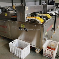 Commerciële automatische machine voor het ontpitten van dadelpitten, rode dadelpitten en pruimen.