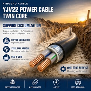 <span class=keywords><strong>Cable</strong></span> de Alimentación Subterráneo de <span class=keywords><strong>Aluminio</strong></span> YJLV22 de 95 mm² y 2 Núcleos para Redes de Servicios Públicos e Infraestructura - Product Image 1