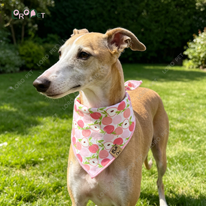 <span class=keywords><strong>Bandana</strong></span> <span class=keywords><strong>pour</strong></span> <span class=keywords><strong>chien</strong></span> de haute qualité, <span class=keywords><strong>fait</strong></span> <span class=keywords><strong>main</strong></span>, en coton, écologique, durable et réglable - Product Image 2