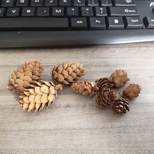 Decoración Navideña para el Hogar, Adornos de Piñas de Pino de Madera, Exquisitos Adornos Colgantes de Piñas de Pino Naturales para Navidad - Product Image 3