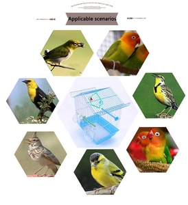 Của nhà máy trực tiếp Chất lượng cao sang trọng lồng chim vẹt Canary chăn nuôi lồng - Product Image 4