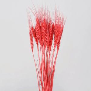 新2022创意非凡鲜花交付保存小麦家居装饰礼品花墙小麦 - Product Image 5