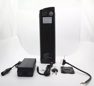 <span class=keywords><strong>Batterie</strong></span> au lithium rechargeable 24V 36V 48V 15Ah 16Ah avec <span class=keywords><strong>chargeur</strong></span> et <span class=keywords><strong>batterie</strong></span> Silver Fish pour vélo électrique, best-seller - Product Image 4