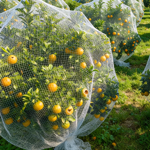 Filet anti-oiseaux en polypropylène robuste à prix abordable <span class=keywords><strong>pour</strong></span> jardin, fixation facile <span class=keywords><strong>pour</strong></span> parterres de légumes, arbres, arbustes, <span class=keywords><strong>protection</strong></span> anti-oiseaux, découpe facile - Product Image 5