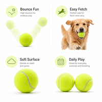 Starter SKU 6.3cm Ballon de tennis pour chien à rebond élevé pour le jeu en parc, les récompenses d'entraînement et l'exercice actif