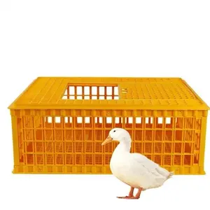 Ev amaçlı kırmızı plastik tavuk kuş taşıma kafesi