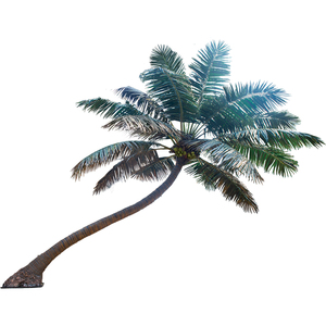 Nhà Máy <span class=keywords><strong>OEM</strong></span> Sợi Thủy Tinh Dừa Nhân Tạo Cây Cọ 4.5M Kích Thước Tùy Chỉnh UV Kháng Bền Ngoài Trời Cảnh Quan Nhiệt đới Cây Cọ - Product Image 2