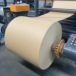 Rollo de Papel Biodegradable de Doble Cara con Recubrimiento de PE Ecológico para la Producción de Cajas de Papel Aptas para Alimentos - Product Image 2