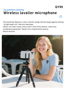 Nuevo Micrófono de Condensador QY99 con Cable, Conector Tipo C, Construcción Metálica, Multiuso (Collarín, Mano, Escritorio), Conmutación Libre de Fábrica - Product Image 6