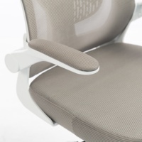 Chaise de bureau ergonomique pivotante avec roulettes silencieuses en nylon, accoudoirs réglables, dossier en maille respirante, cadre gris – Idéale pour les espaces de coworking et les chambres