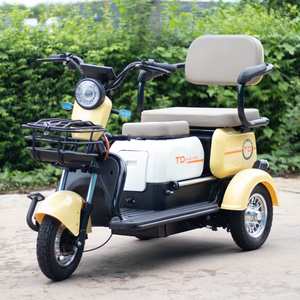 <span class=keywords><strong>Triciclo</strong></span> Eléctrico Inteligente de Gran Potencia de 600w, el Más Nuevo del 2026, en Existencia - Product Image 1