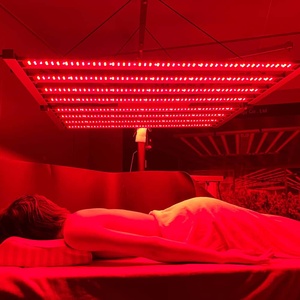 Dispositivo de terapia de luz infrarroja roja TLA Barn 1000 Equine para perros - Product Image 3