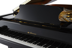 Piano à queue acoustique professionnel Heinemann 88 touches, fabriqué à la main pour villa, design WGP-186 qui rehausse l'attrait visuel - Product Image 3