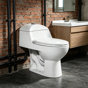 Inodoro de una pieza con sifón en S para baños, económico, de gran venta en Sudamérica - Product Image 4