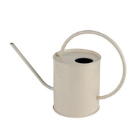 Arrosoir vintage en acier inoxydable 1,5 L écologique à long bec pour jardin et usage intérieur