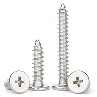 Tornillos autorroscantes de chapa ultrafinos Phillips de acero inoxidable 304 M2, M2.3, M2.6, M3, M4, M5, M6 x 25mm