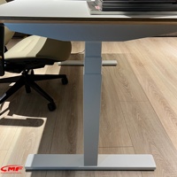 Table élévatrice ergonomique à double moteur, surface en contreplaqué de bouleau, montage facile, disponible en différentes tailles et hauteurs, structure métallique durable