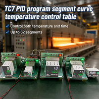 Contrôleur de température PID LED ODM TC7 W1G-2 avec entrée K/E/PT100, contrôle programmable 32 segments, thermostat industriel pour four
