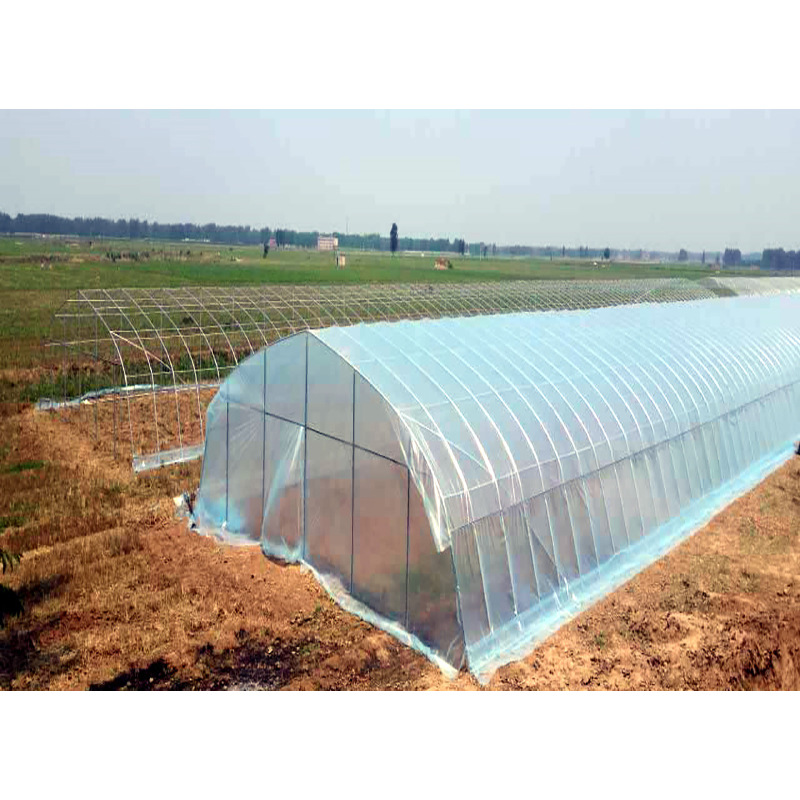 Зеленый дом, зеленая Однопролетная теплица для овощей, недорогая тепличная рамка