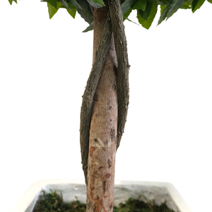 <span class=keywords><strong>Albero</strong></span> di Alloro Artificiale da 190 cm <span class=keywords><strong>con</strong></span> 3 Sfere, Foglie Finte in Seta Plastica, Resistente alle Intemperie per Decorazioni Casa, Giardino e Feste - Product Image 4