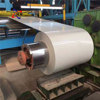 Bobine d'acier galvanisé prélaqué PPGI, tôle d'acier revêtue de couleur, revêtement en zinc, qualité DX51D CGCC pour tôles de toiture