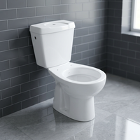 WC — placard à eau en céramique, placard à deux pièces avec cendrier, produits ménagers et américains, de forme ronde, w/WC, prix d'usine, Offre Spéciale