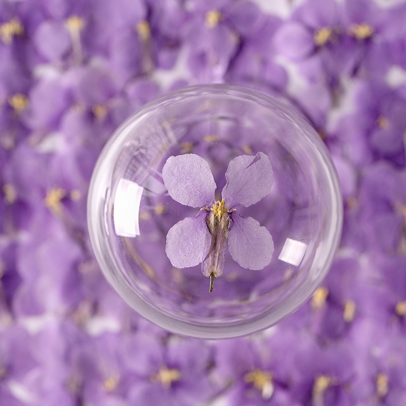 Dry Flower