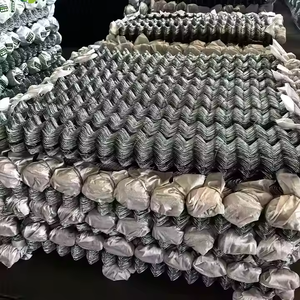 Clôtures à maillons de chaîne en sergé tissé en usine Maille galvanisée revêtue de chlorure de polyvinyle pour aire de jeux de parc et utilisation agricole - Product Image 3