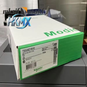 Module de sortie analogique TSXAEY810 et TSXAEY410 TSXAEY820 pour l'automatisation PLC - Product Image 1