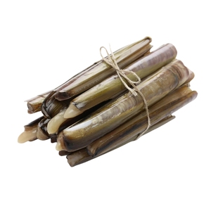 Tươi dao cạo nghêu kích thước lớn nước biển thu hoạch ngọt ngào dịu dàng động vật có vỏ thịt cao cấp ven biển bắt Chất lượng cao hải sản sự lựa chọn - Product Image 1