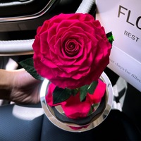 Beliebtes Geschenk Valentinstag Dekorationen Ewige Rose konservierte Blume für immer Rose in Glaskuppel für Muttertag