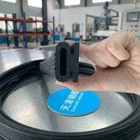 Joint gonflable en caoutchouc EPDM pour l'accès au réservoir de revêtement électrophoretique, destiné à la maintenance des réservoirs de revêtement électrophoretique