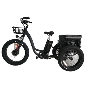 Triciclo eléctrico de carga, bicicleta de café, reclinada - Product Image 2