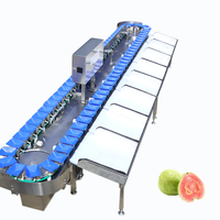 Avocado Aardbei Mango Koffie Fruit Groente Mais Voedsel Kreeft Kaas Speelgoed Ei Vis Milieuvriendelijke Sorteermachine KHLH-6J