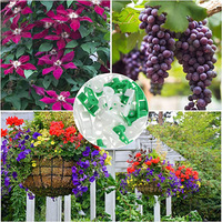 360 Degrés Réglable Plante Bender Basse Pression Contrôle D'angle Formation Pliage Clip Lumière Formateur Croissance Promotion Outil De Jardinage