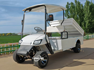 Carrello da Golf elettrico a 2 posti con batteria 48V a benzina di qualità Gulf Cart per compatibilità auto <span class=keywords><strong>Club</strong></span> in vendita - Product Image 6