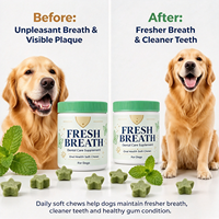 Frisse Adem Tandverzorging Kauwtabletten voor Honden Mondgezondheid Ondersteuning Lysozyme Thee Polyfenol Lecithine Kauwbare Tabletten OEM Private Label