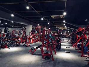 Équipement de gymnastique commercial pour la <span class=keywords><strong>musculation</strong></span> des femmes façonnant la Shenqi abdominale et les fesses soulevant la <span class=keywords><strong>machine</strong></span> d'exercice de serrage - Product Image 2