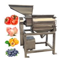 Pompoenpulpmachine Met Hoge Productiviteit/Mango-Ontstoner En Pulpmachine/Fruitpulpextractiemachine