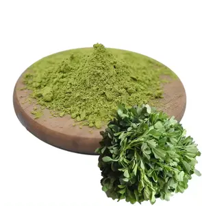 Factory Natural Artificial Planting Organic Powder Manufacturers Alfalfa Grass Health Care Product