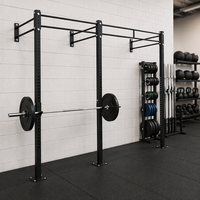 Barre de traction murale OEM ODM en acier robuste, rack de squat, équipement de musculation pour salle de sport commerciale