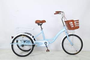 Triciclo de Pedales Personalizado para 2 Adultos, Mini Bicicleta de Carga de 3 Ruedas con Horquilla de Acero para Desplazamientos Urbanos en India - Product Image 5