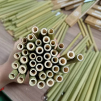 Logo personnalisé pailles à boire en bambou biodégradables pailles jetables écologiques