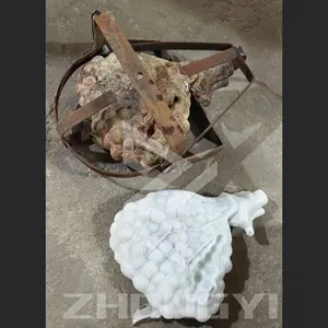 Oyuncak kauçuk hayvan Roto manken bebek plastik şişme hayvanlar tıbbi kalıplar
